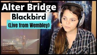 Alter Bridge   "Blackbird"  (Live @ Wembley)  REACTION