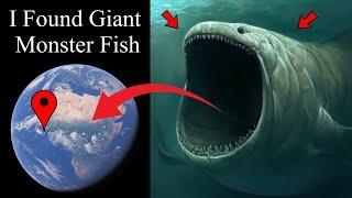 I Found Giant Very Monster Fish in Real Life Google Maps and Google Earth #map #earth #universala2z