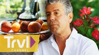 Basking in the Beauty of Provence | Anthony Bourdain: No Reservations | Travel Channel