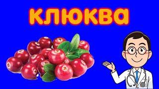   9 ПРИЧИН ЕСТЬ КЛЮКВУ, ЧТОБЫ НИЧЕМ НЕ БОЛЕТЬ / ЧЕМ ПОЛЕЗНА КЛЮКВА / ПОЛЬЗА КЛЮКВЫ