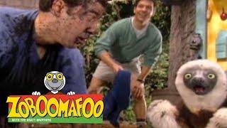 Zoboomafoo with the Kratt Brothers! ARMOUR | Full Episodes Compilation