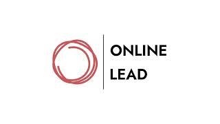 Online Lead настройка инструмента Масслайкинг