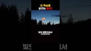 내 목숨을 살리는 풍선!