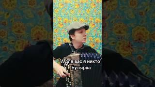 А для вас я никто - Бутырка на баяне #баянист #гармонь #баян #шансон #бутырка