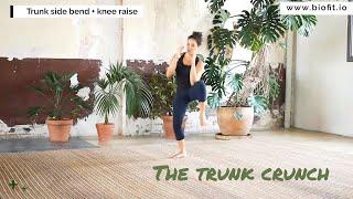 BIOFIT - Trunk Crunches - Natural fitness online course - Stamina module