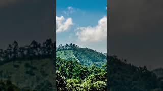 Munnar Clouds on Mountains #Kerala #Timelapse #Shorts