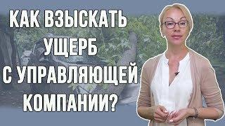 Как взыскать ущерб с управляющей компании?