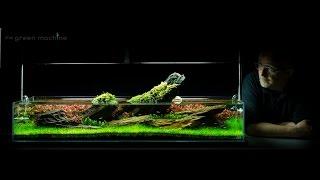 Aquarium Aquascape Tutorial Guide 'Crimson Sky' by James Findley & The Green Machine