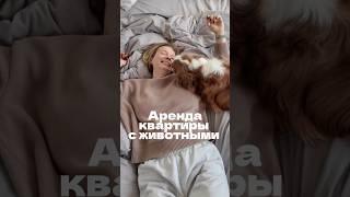 Аренда квартиры с животными? Что скажете? #хоумстейджинг #дизайнинтерьера #квартира #ремонт #семья