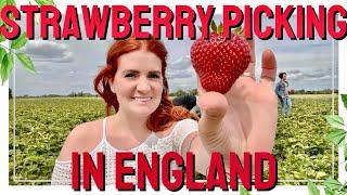 Strawberry Picking | SUNNY DAY IN ENGLAND | Strawberries Are In Season