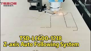 Hot Selling 600Watt Die Board Laser Cutting Machine TSD-LC600PRO-1218 for Plywood Cutting