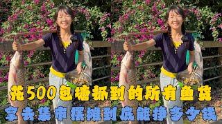 幺妹花500元包塘抓到的所有鱼货，拿去集市摆摊到底能挣多少钱？#户外抓鱼 #户外捕鱼 #幺妹vlog #乡村生活 #农村生活