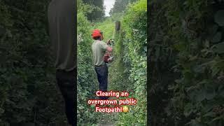 Clearing an overgrown public footpath!