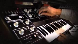 Oberheim OB1 sound demo