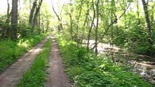 C&O Canal Towpath: Biking the Forest