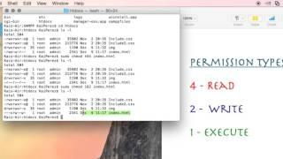 How to Use the Terminal: 'chmod' Command Demystified and Put to Use