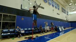 Vertical jump Zion Williamson