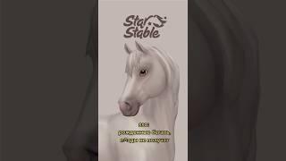 star stable и его баги 