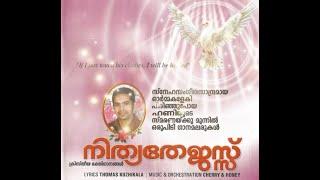 MALAYALAM CHRISTIAN DEVOTIONAL ALBUM | NITHYATHEJASSU | #MalayalamChristianSongs