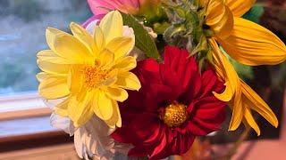 Flowers from the garden 