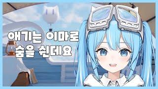 이 분 스텔라이브 브레인 맞나요