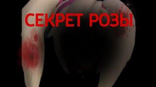 horror Барбоскины "Секрет Розы"