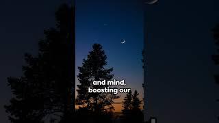 Sleep Tight | The Secret to Self Care #transcendingboundaries #motivation #innerpeacejourney #quotes