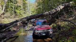 Bronco's on Pistol Creek, Fall 2024