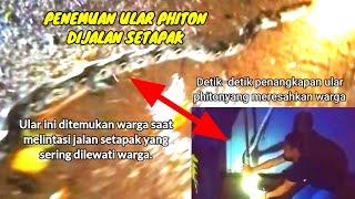 Penemuan ular phiton besar ‼️ Detik-detik penangkapan ular phiton besar #infocikondang