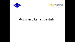 Accunest kanat pastalı