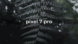 Prueba Pixel 7 Pro | Cinematic Mode 4K