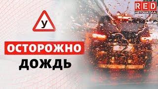 Дождь! Как не попасть в ДТП [Автошкола RED]