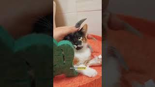Ну и о том, как же у крошки дела))