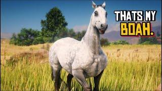 How To Become The BEST COWBOY and HORSE TRAINER in RDR2 : The Comprehensive Guide, Expert Tutorial