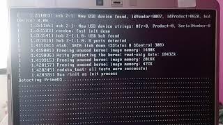 Ummm... Trying to dual boot Prime Os in Ubuntu.