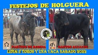 HOLGUERA 1 TORO PARTIDA DE RESINA , 1 TORO DE SANTOS ALCALDE Y 1 VACA  SABADO 2022  4K