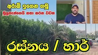 Arabic learn in sinhala |අරාබි භාශාව සිංහලෙන් ඉගෙන ගමු |Arabi bashawa sinhalen|Arabic language learn