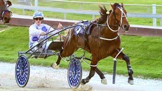 2024 Northern Derby 2700M Alexandra Park New Zealand : Cold Chisel (1:59:6)