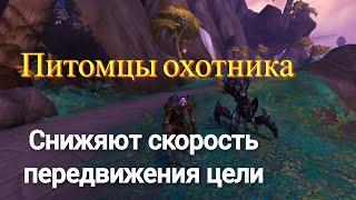 Питомцы охотника (Замедление цели) #worldofwarcraft #dragonflight #wow #games #gameplay