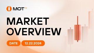 Market Overview 2024.12.22