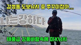 태풍급 바람속에 도보낚시 다녀왔습니다.#화양면#당고낚시채비#찌낚시#바다낚시 #가을감성돔 #도보낚시#쭈꾸미낚시#여수 금오도#당고낚시