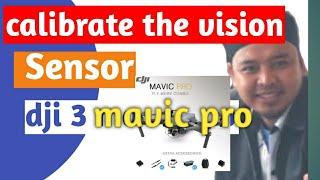 dji mavic pro vision sensor calibration