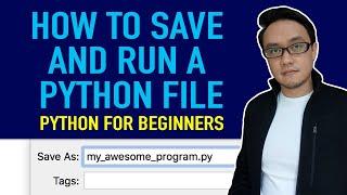 How to Save Your Python Code to a File and Run It as a Script | Python Tutorial for Beginners