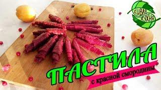 ПАСТИЛА ИЗ КРАСНОЙ СМОРОДИНЫ  4 ВИДА! RAW