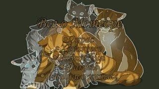 •Всё о Метеоре-Коты Воители-|Warrior Cat Crookedstar|√Bkack Cat𓃠√