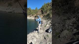 Cyprus  Fishing on the Lake #lake #lakefishing #bassfishing