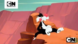 CANARIO DEL GRAN CAÑÓN | LOONEY TUNES CARTOONS | CARTOON NETWORK