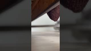 Vacuuming.