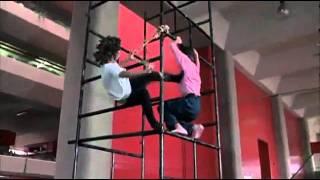 Above the Law - Cynthia Rothrock vs Karen Sheperd - HQ