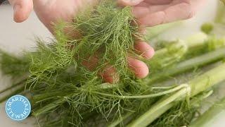 How to Cut a Fennel Bulb | Martha Stewart's Chef Hacks